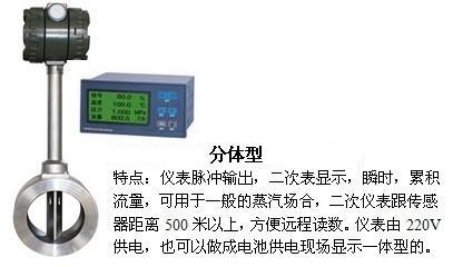 鍋爐蒸汽流量表分體式產品圖